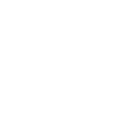 Stratégie data